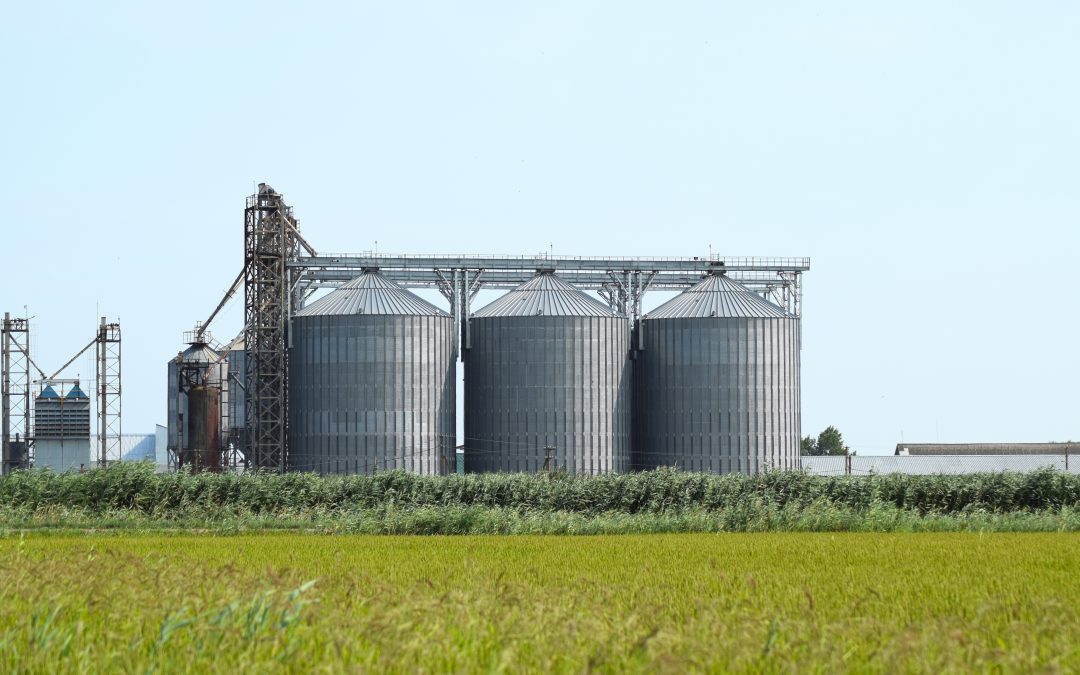 Dust Collectors for Agriculture